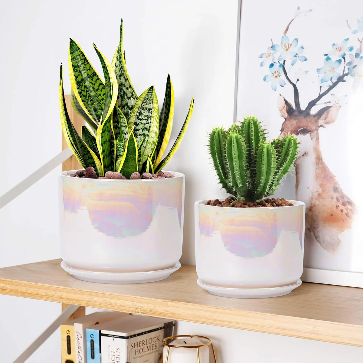 Plant Pots, 4+5+6 Inch Pots for Indoor Plants,Ceramic Planter Pot with Drainage Hole,Flower Pots for Succulent Cactus,Set of 3 - Rainbow Pearl Glaze