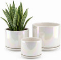 Plant Pots, 4+5+6 Inch Pots for Indoor Plants,Ceramic Planter Pot with Drainage Hole,Flower Pots for Succulent Cactus,Set of 3 - Rainbow Pearl Glaze
