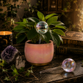 Large Iridescent Plant Watering Globes, Extra-Thick Glass, 6 Pack