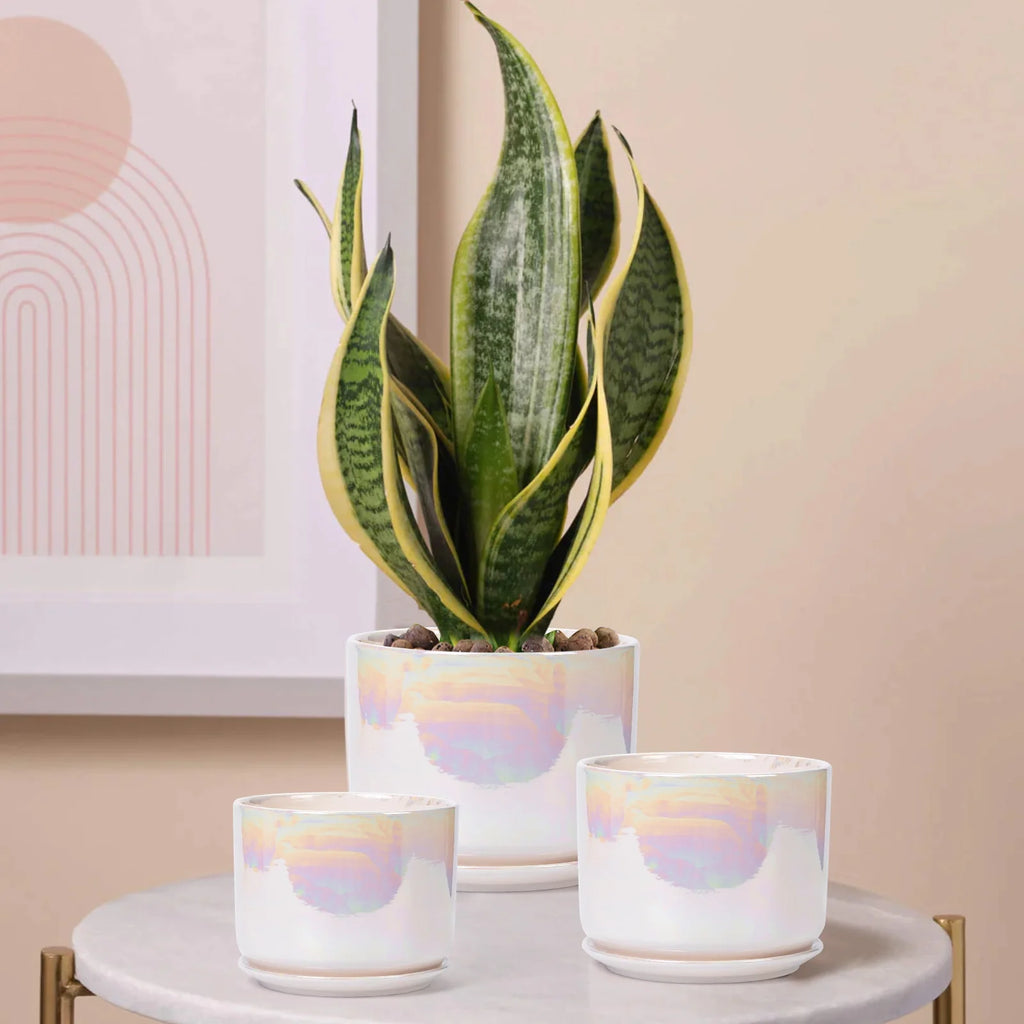 Plant Pots, 4+5+6 Inch Pots for Indoor Plants,Ceramic Planter Pot with Drainage Hole,Flower Pots for Succulent Cactus,Set of 3 - Rainbow Pearl Glaze