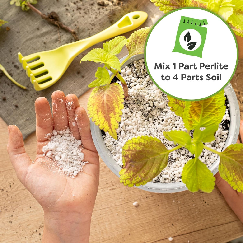 Organic Perlite, 8 Qt, Gardening Soil Drainage & Aeration