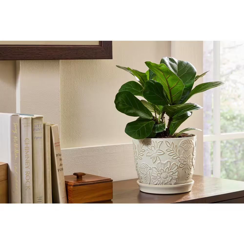 Lorelai Small White Floral Ceramic Planter with Drainage Hole and Attached Saucer (7.2 In. L X 7.2 In. W X 6.3 In. H)