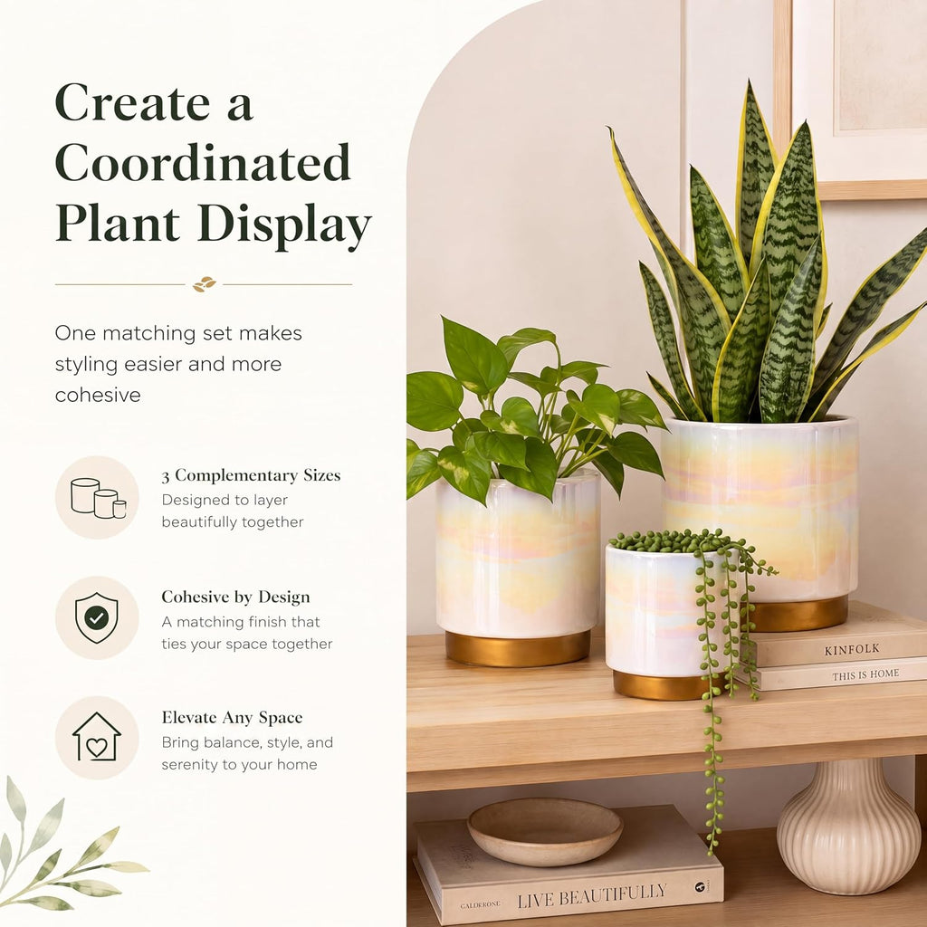 Ceramic Plant Pots for Indoor Plants, Planters with Drainage Holes