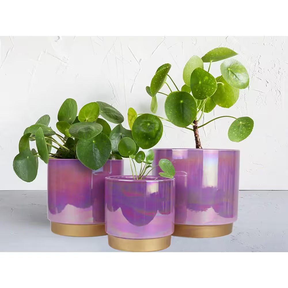3-Pack Indoor Ceramic Planter with Drainage Hole, Succulent Orchid Flower Pot, Rainbow Pearl Glaze, Purple