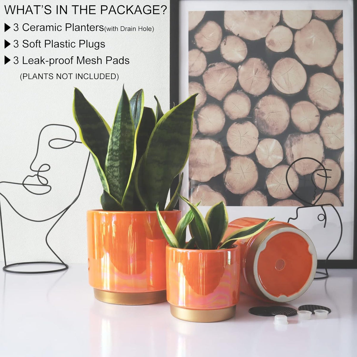 Ceramic Plant Pots for Indoor Plants, Planters with Drainage Holes
