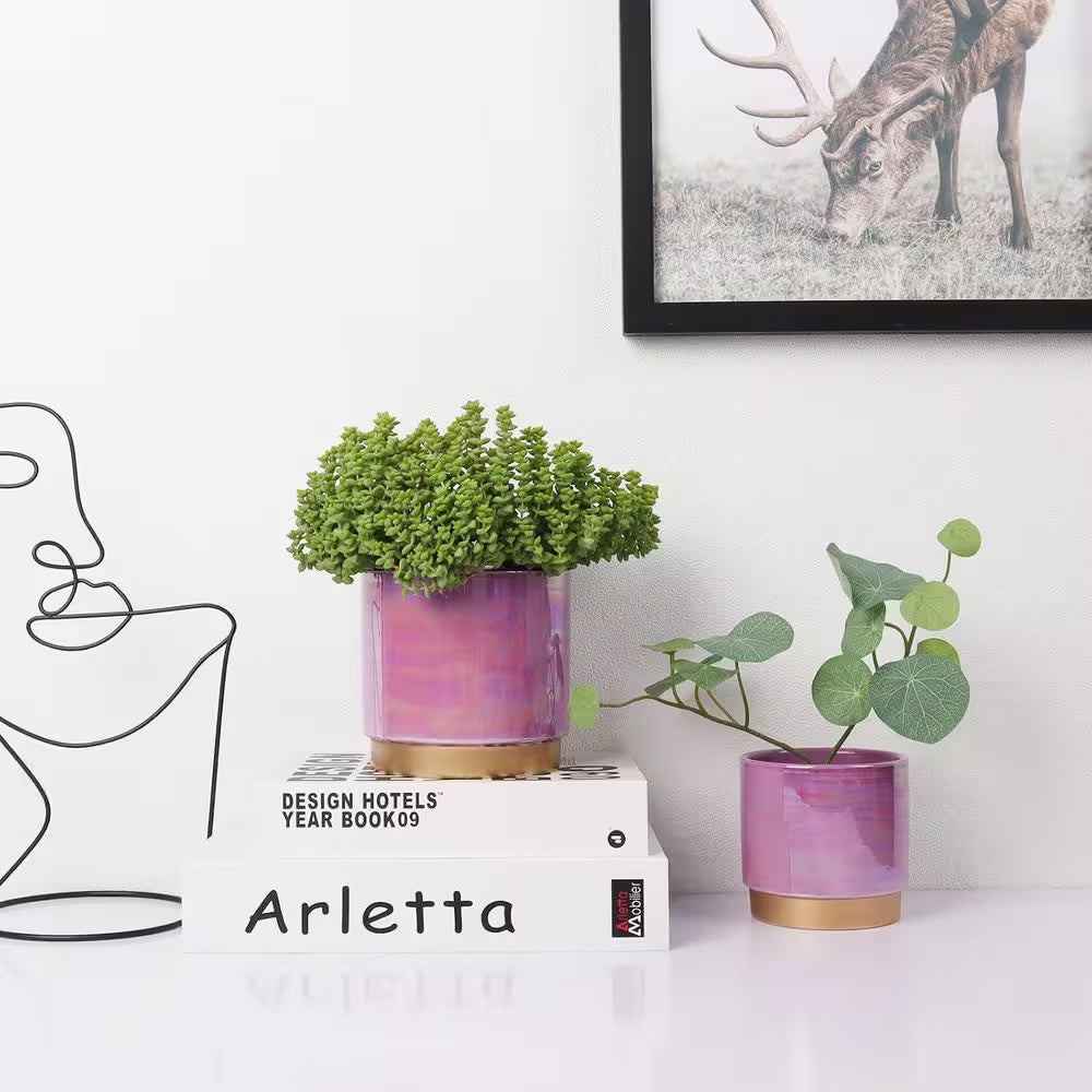 3-Pack Indoor Ceramic Planter with Drainage Hole, Succulent Orchid Flower Pot, Rainbow Pearl Glaze, Purple
