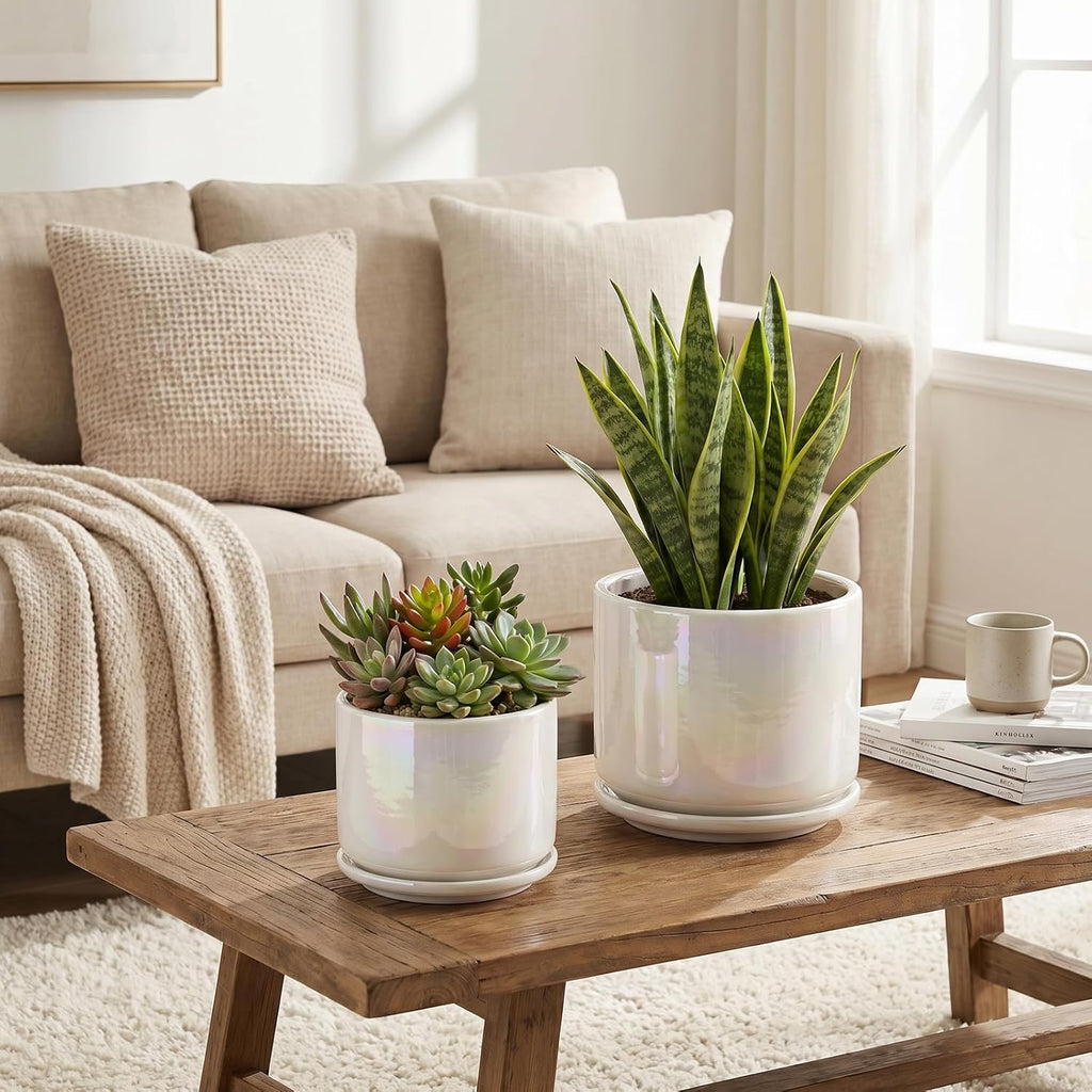 Plant Pots, 4+5+6 Inch Pots for Indoor Plants,Ceramic Planter Pot with Drainage Hole,Flower Pots for Succulent Cactus,Set of 3 - Rainbow Pearl Glaze