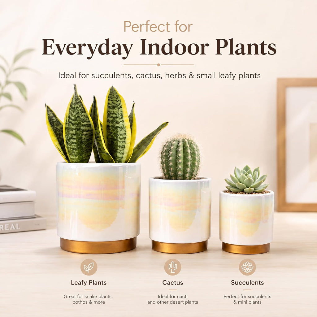 Ceramic Plant Pots for Indoor Plants, Planters with Drainage Holes