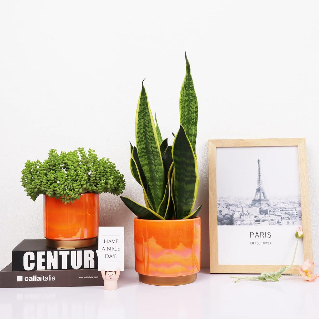Ceramic Plant Pots for Indoor Plants, Planters with Drainage Holes
