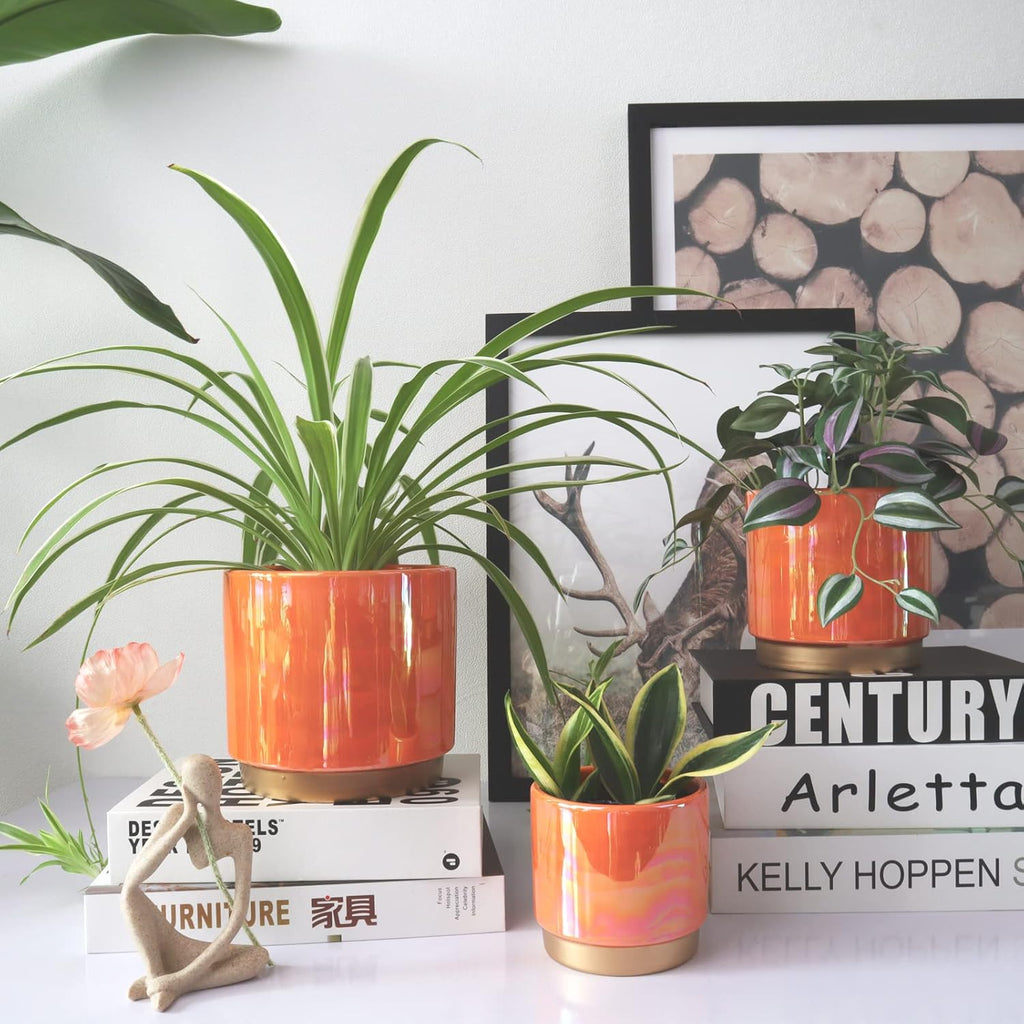 Ceramic Plant Pots for Indoor Plants, Planters with Drainage Holes