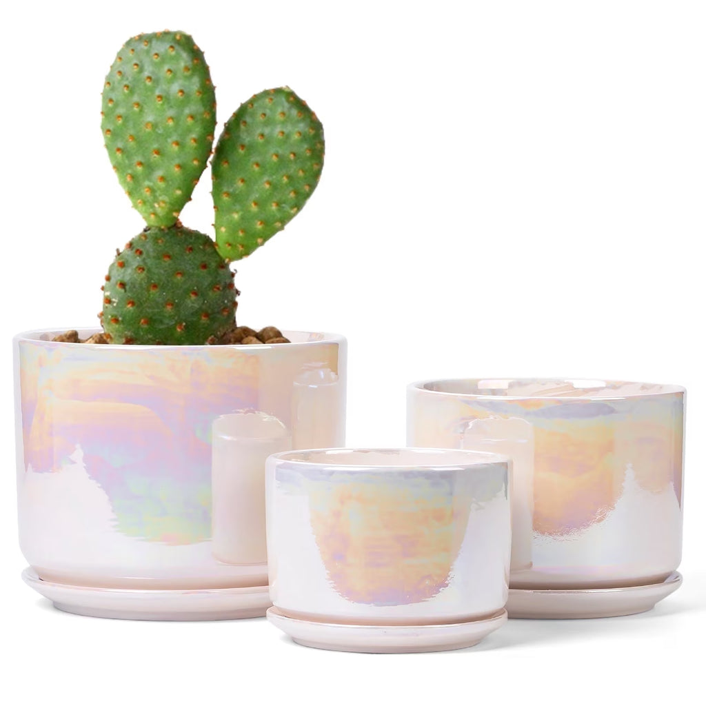 Plant Pots, 4+5+6 Inch Pots for Indoor Plants,Ceramic Planter Pot with Drainage Hole,Flower Pots for Succulent Cactus,Set of 3 - Rainbow Pearl Glaze