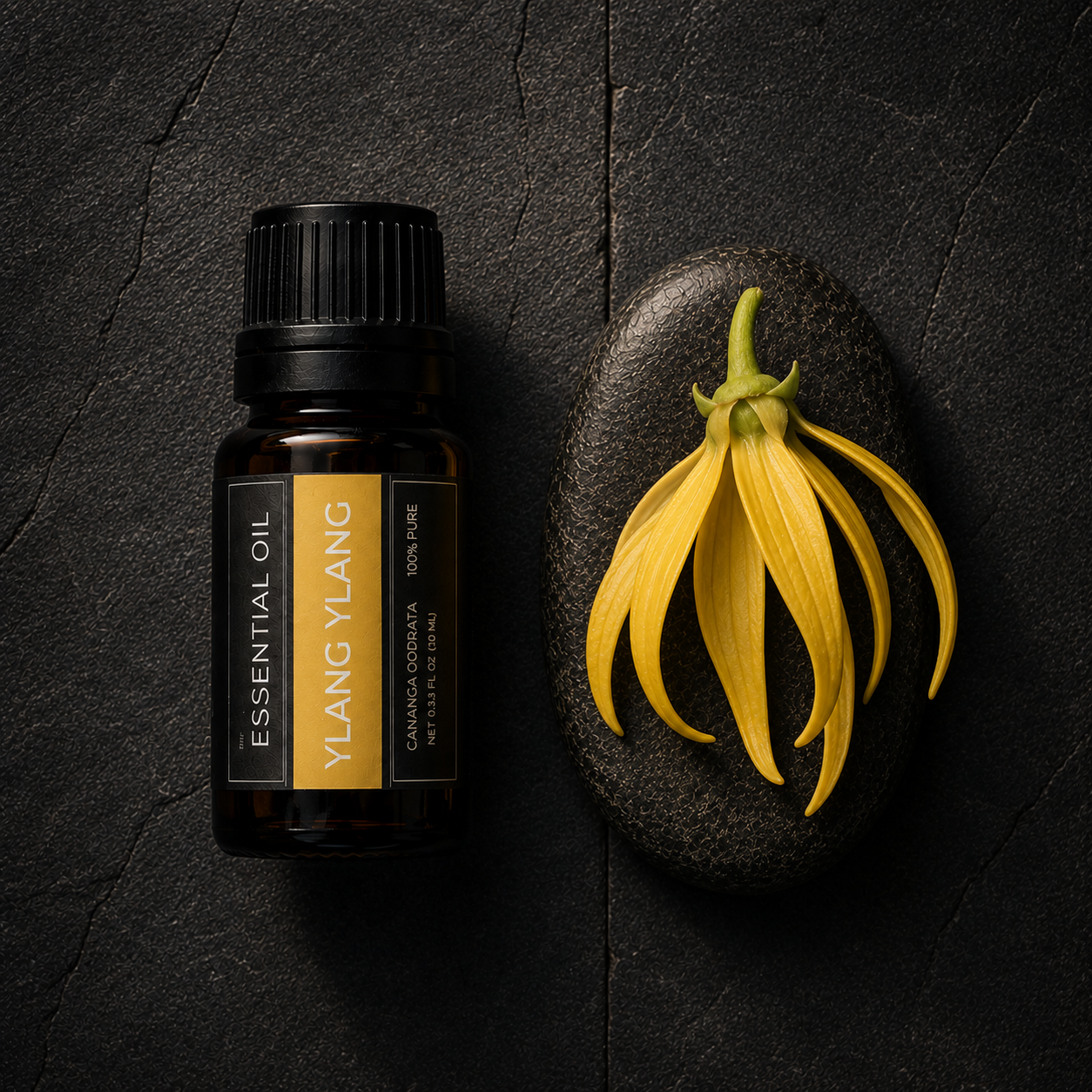 Pure Essential Oils (10ml) – Steam Distilled Botanical Aromatherapy Oils for Diffusers, Home & Office – Single Bottles & Curated Sets