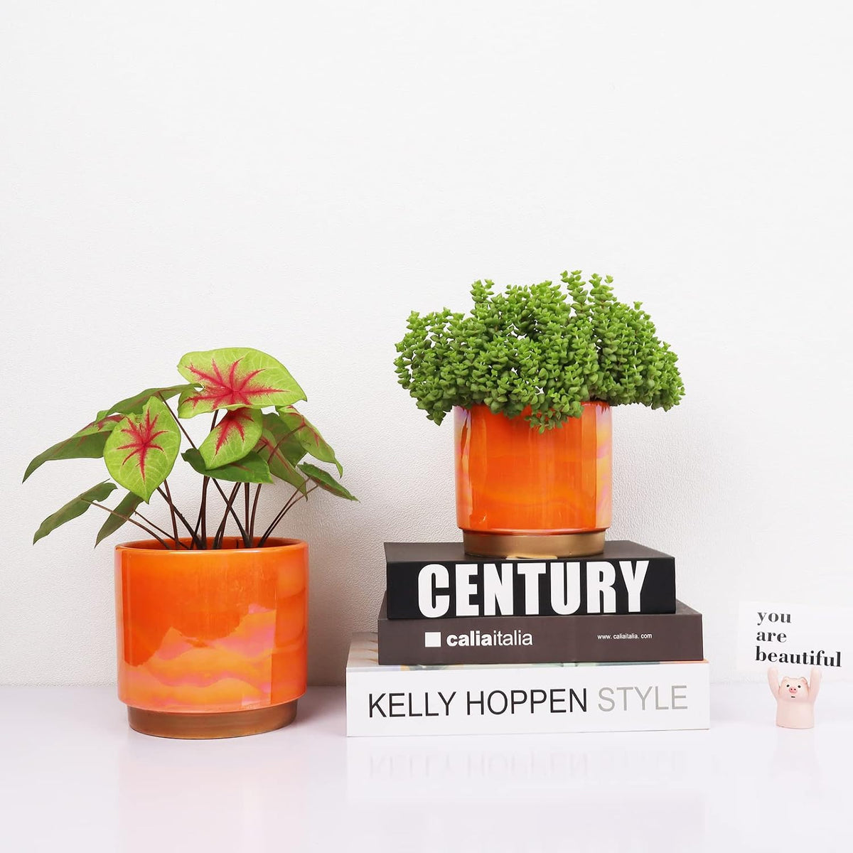 Ceramic Plant Pots for Indoor Plants, Planters with Drainage Holes