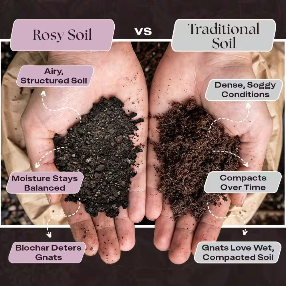 Organic 4 Qt. Living Soil Biochar Potting Mix for Aroids (1-Pack)