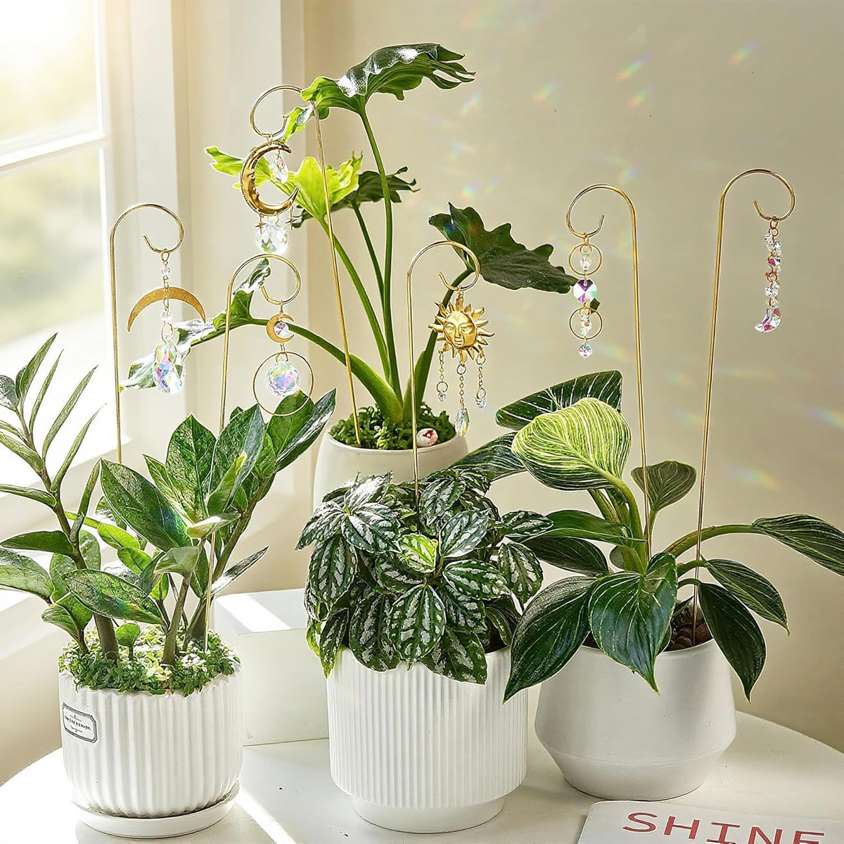 6PCS Small Trellis with Crystal Sun Catchers for Mini Potted Plants Gifts