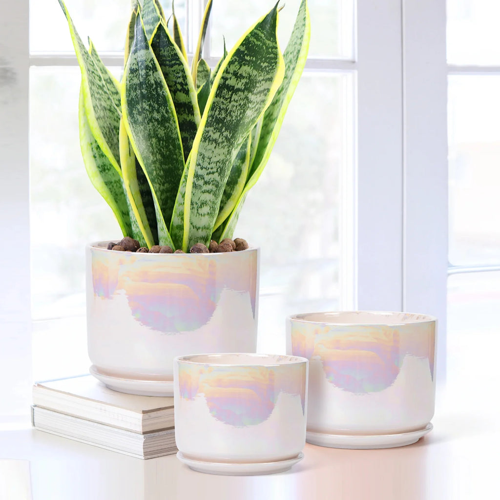 Plant Pots, 4+5+6 Inch Pots for Indoor Plants,Ceramic Planter Pot with Drainage Hole,Flower Pots for Succulent Cactus,Set of 3 - Rainbow Pearl Glaze